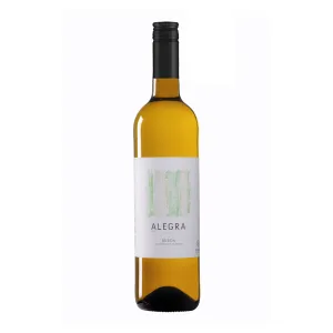 Alegra Verdejo, Rueda