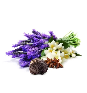 Black Jasmine, Truffle & Lavender Fragrance Oil