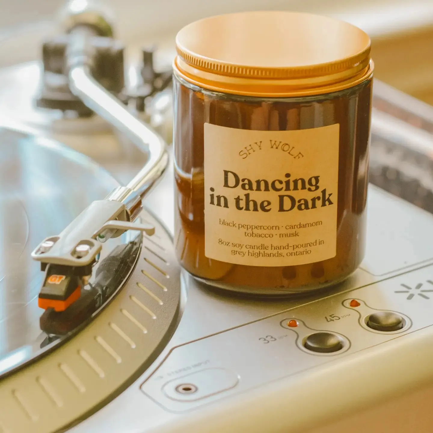 Dancing in the Dark Candle by Shy Wolf