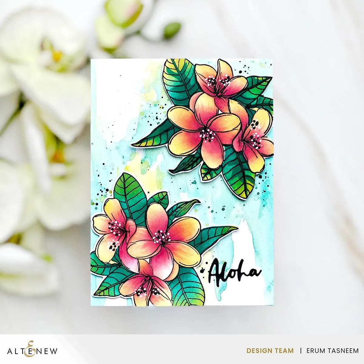 Exotic Plumerias