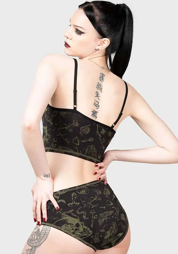 Forest Lush | PANTY