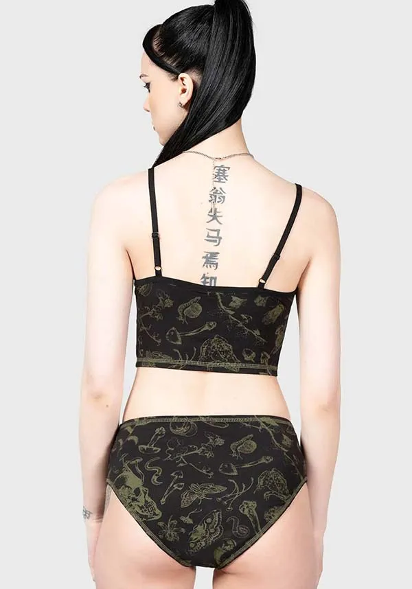 Forest Lush | PANTY