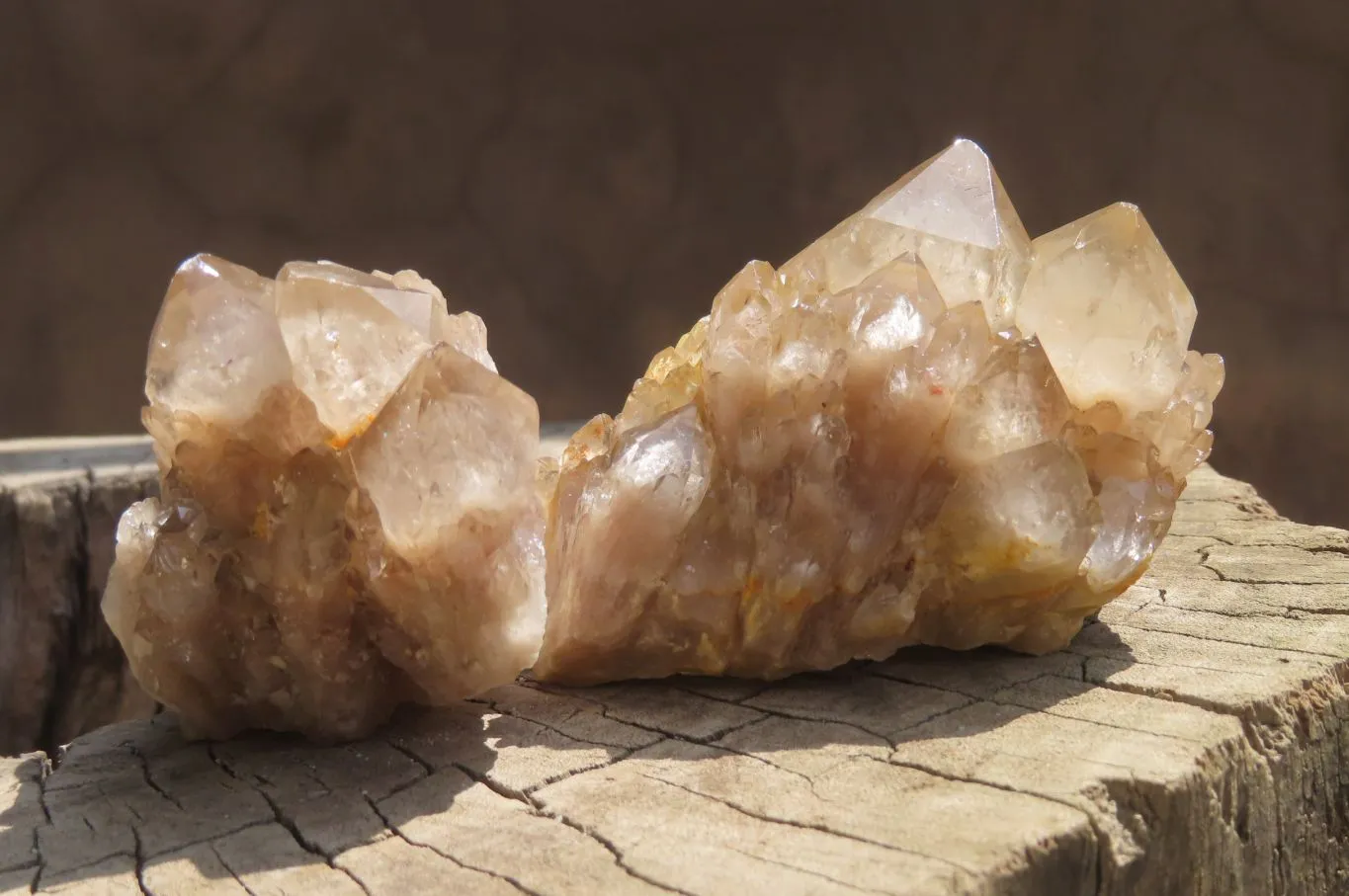 Natural Cascading Quartz Clusters x 6 From Luena, Congo