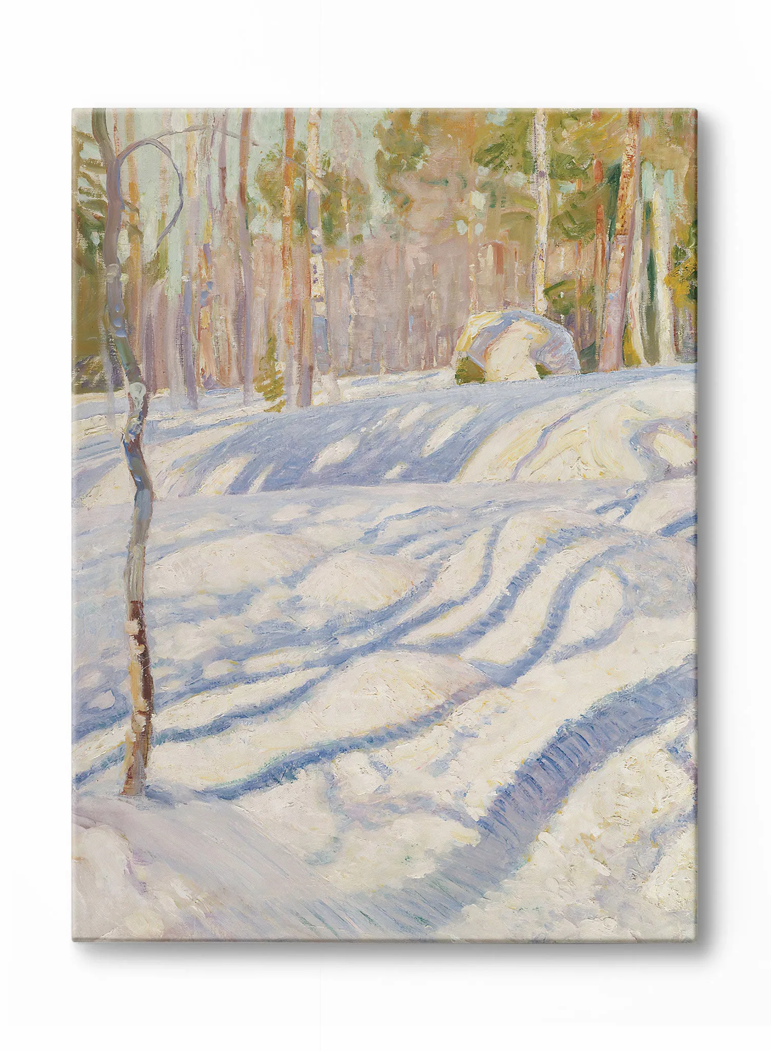 Snow Day Shadows, Poster
