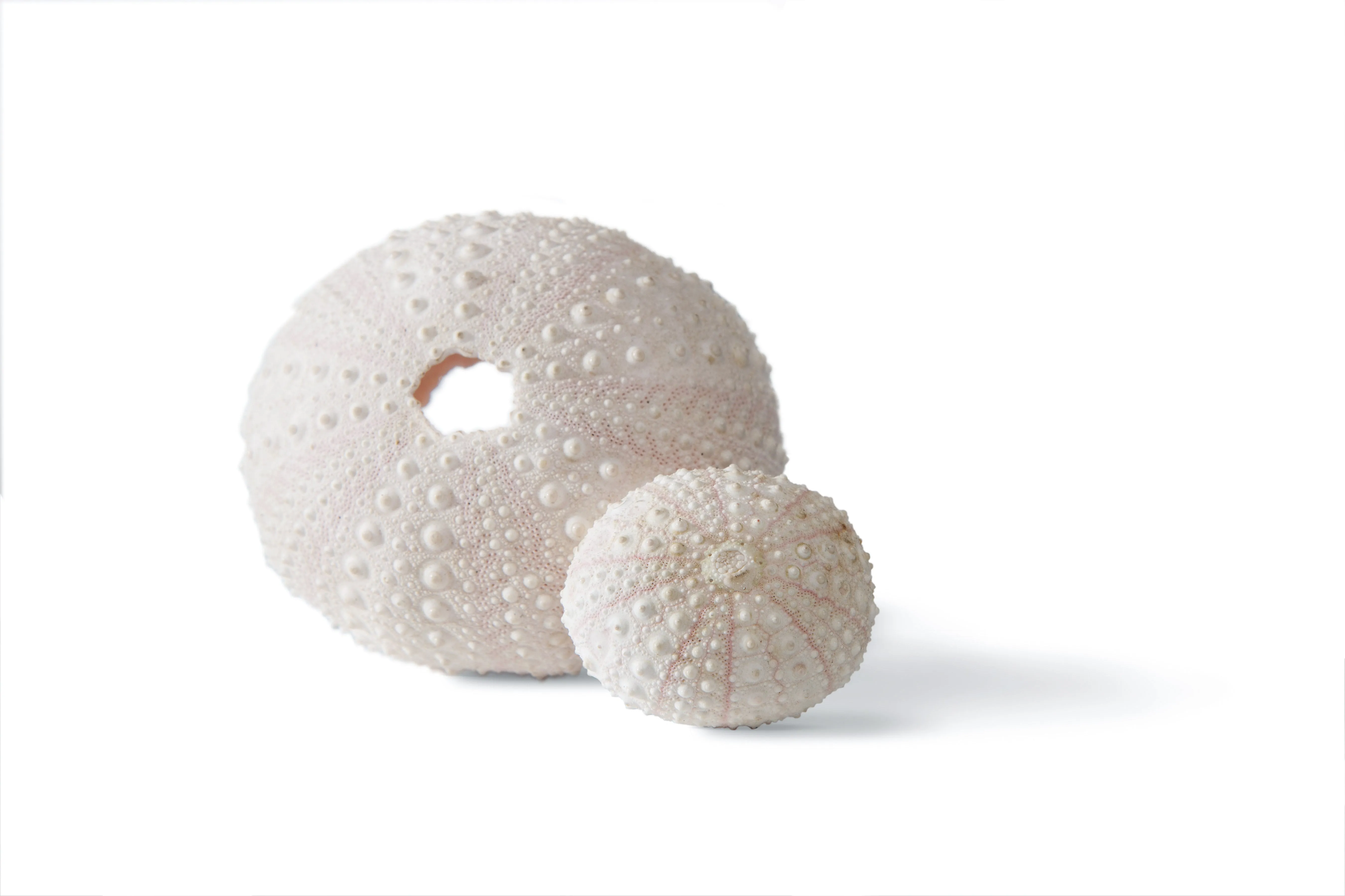 Warm Anemone Cuff