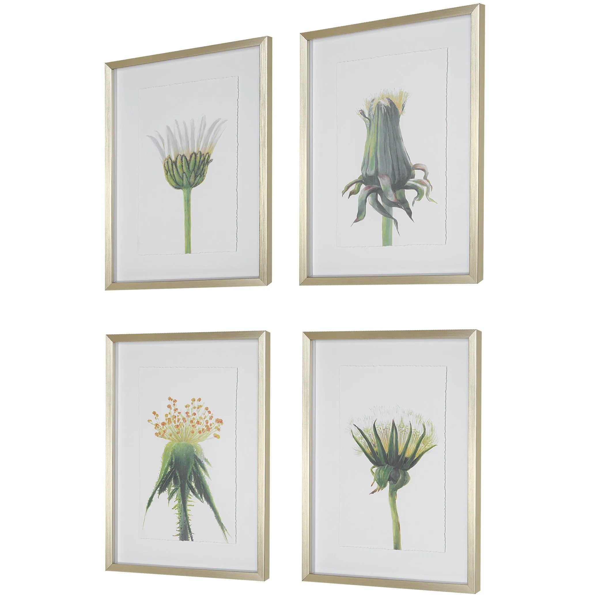 Wildflowers Gold Framed Prints, S/4